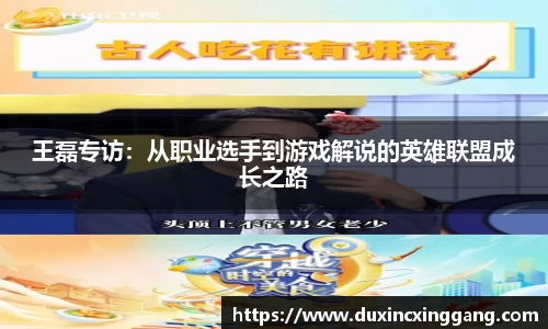 王磊专访：从职业选手到游戏解说的英雄联盟成长之路